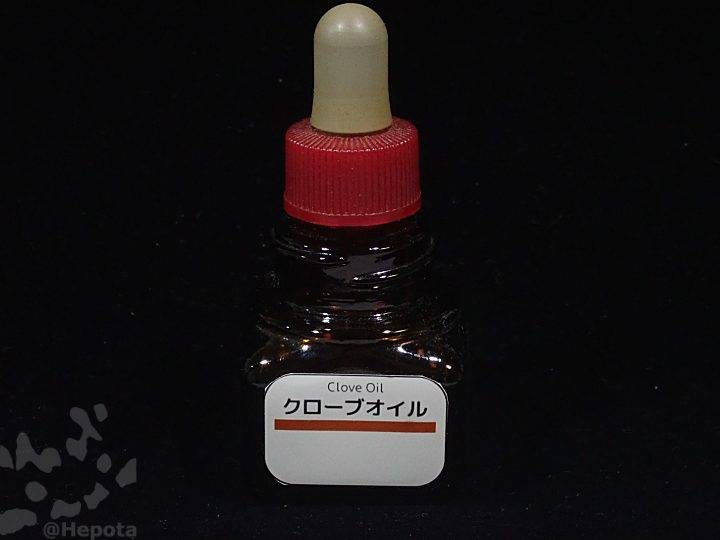 clove-oil-2.jpg