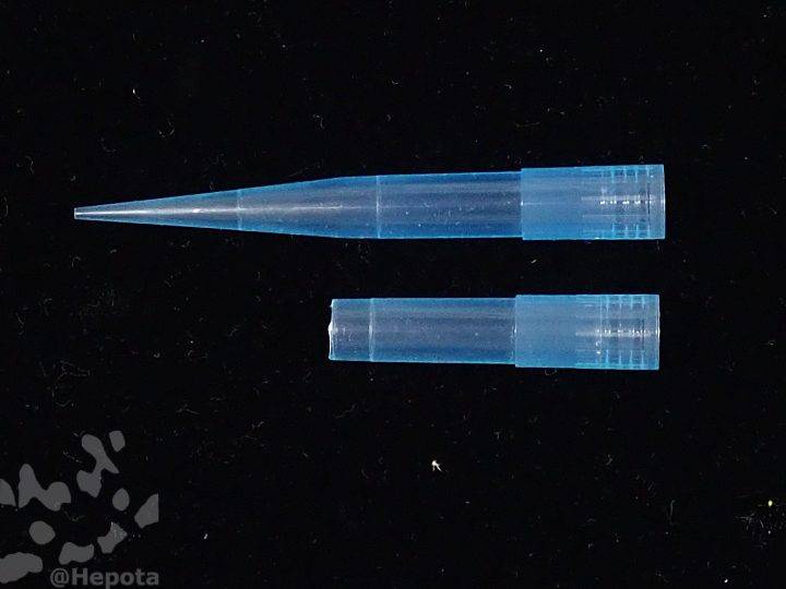 pasteur_pipette-a-8.jpg