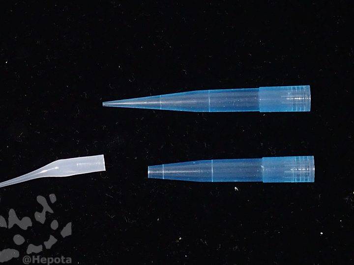 pasteur_pipette-a-9.jpg
