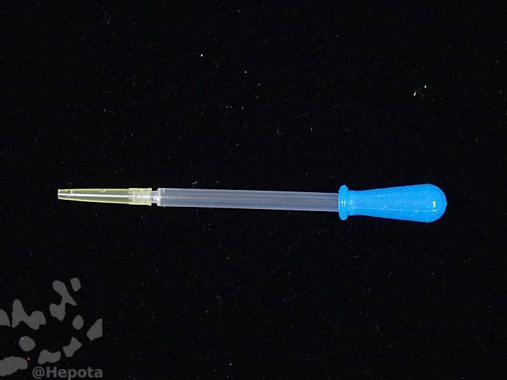 pasteur_pipette-b-8.jpg