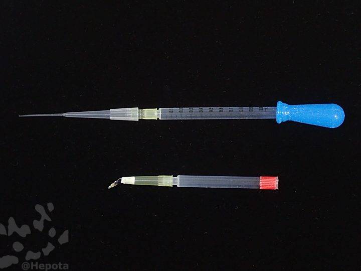 100ul-pipette-tip-3.jpg