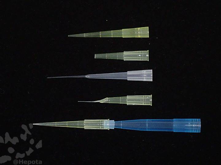 200ul-pipette-tip-3.jpg