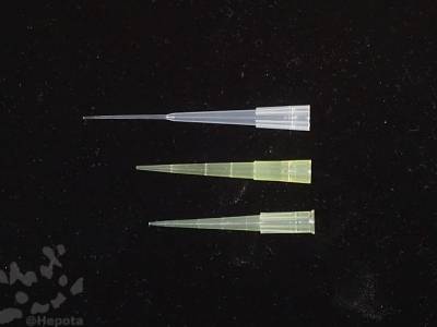 200ul-pipette-tip.jpg