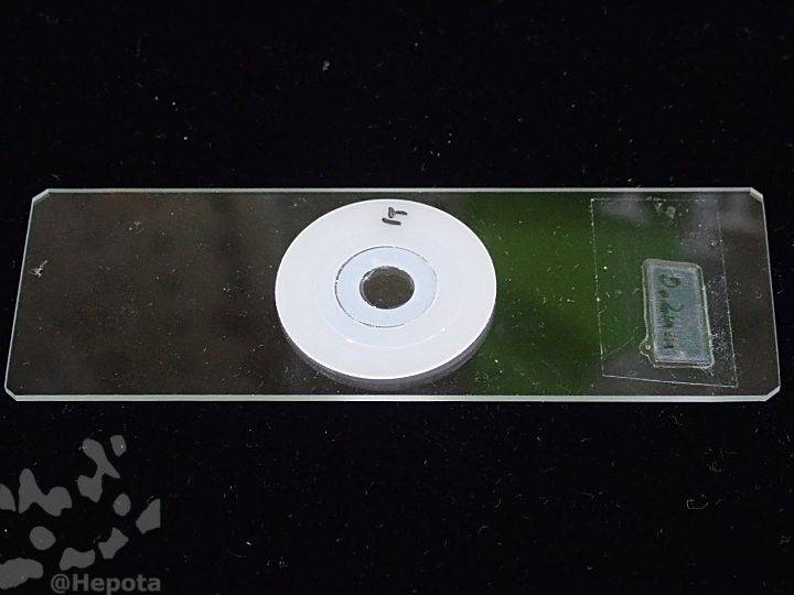 lidded_chamber_method-03.jpg
